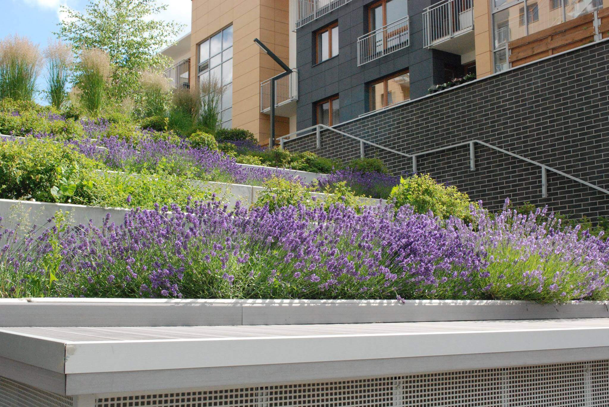 Da Vinci - zdjęcie 9