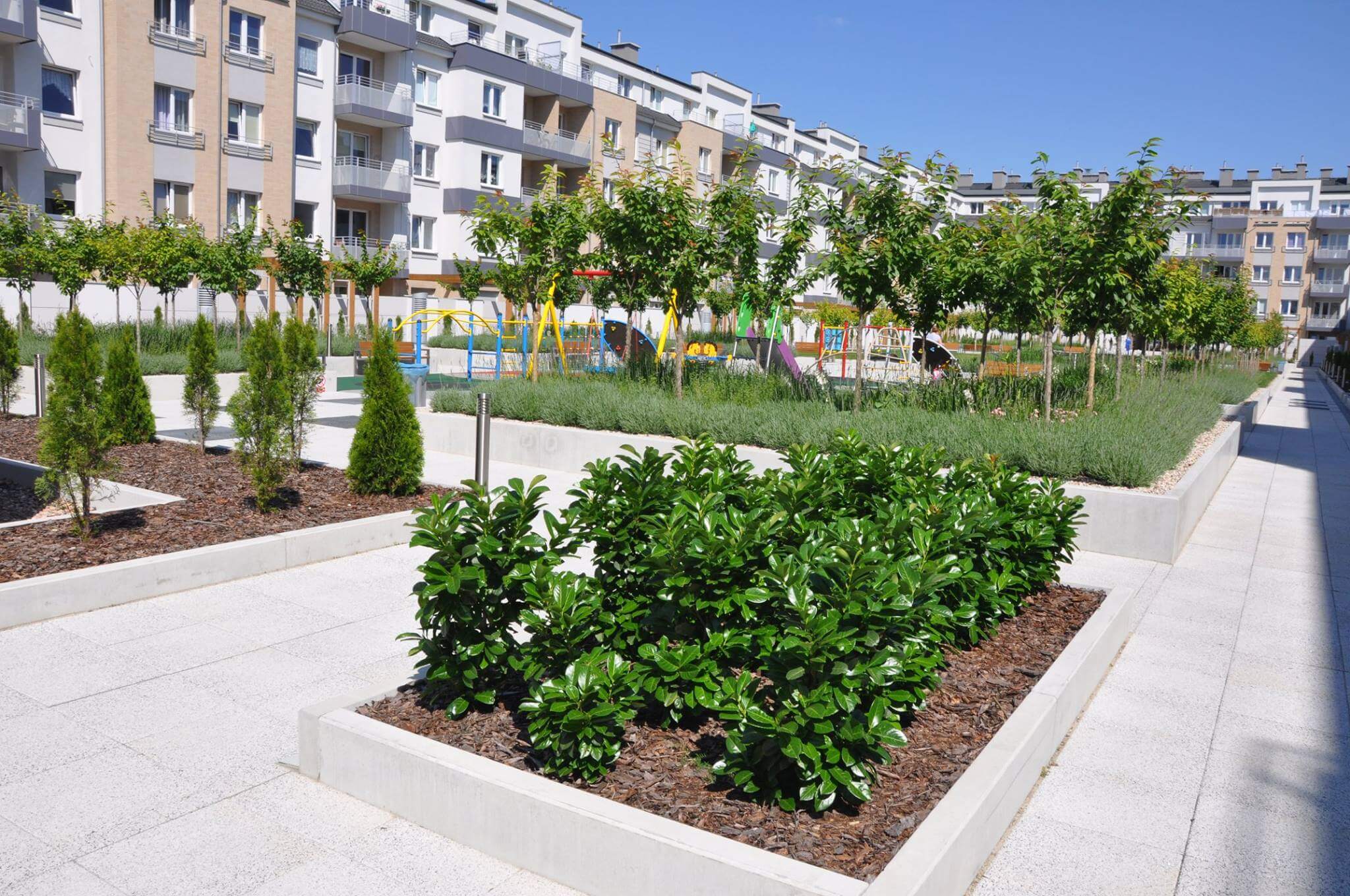 Di Trevi - zdjęcie 3