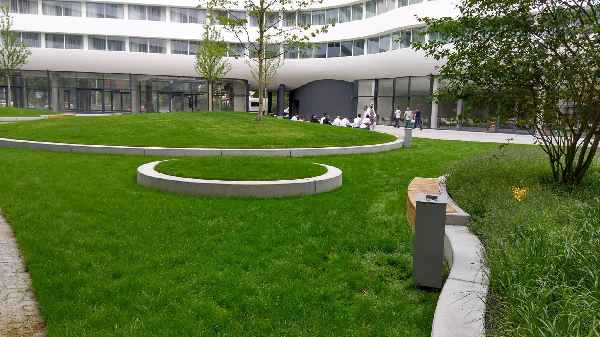 Hilton OVO - zdjęcie 2